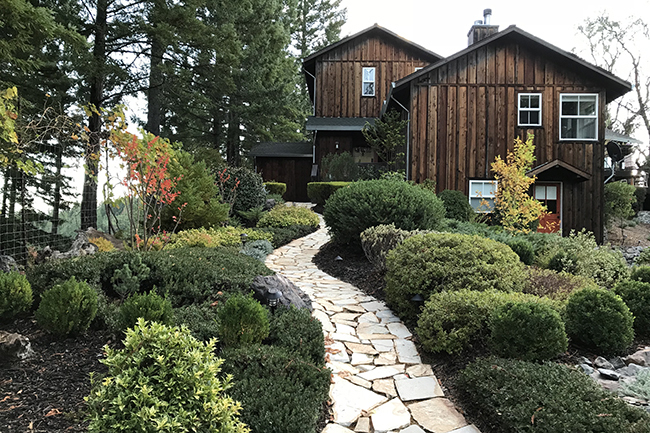 Mendocino County, CA Open Day